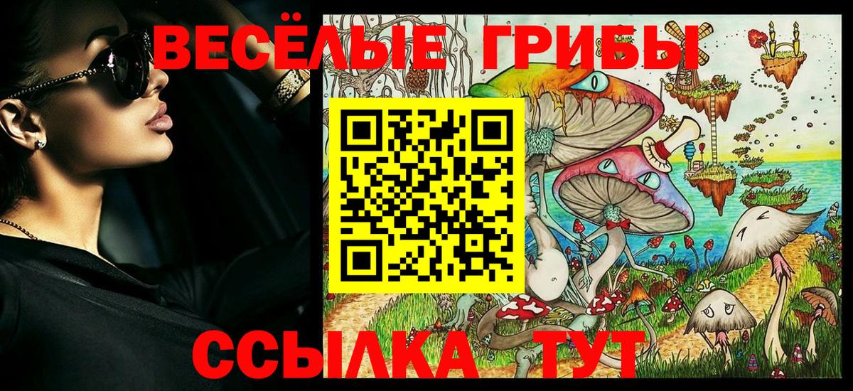 Псилоцибиновые грибы мухоморы  Вход с VPN  Галлюциногенные грибы Psilocybine cubensis  закладка  Новочебоксарск 