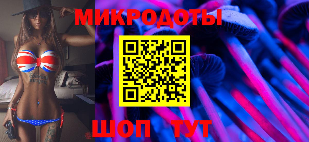 Галлюциногенные грибы Psilocybe Новочебоксарск